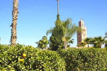COP22, Marrakech se déguise en ville éco-responsable