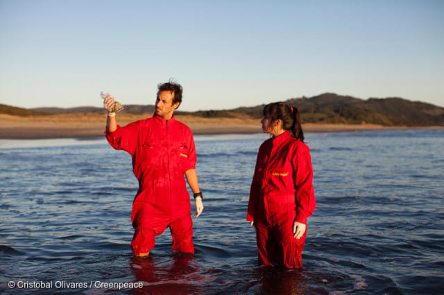 Catastrophe de Chiloé, Greenpeace accuse le gouvernement chilien