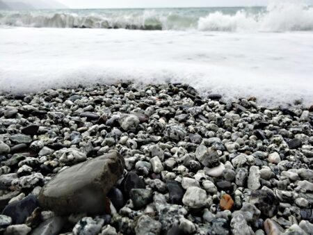 La Méditerranée, entre pêche, réchauffement et faune marine