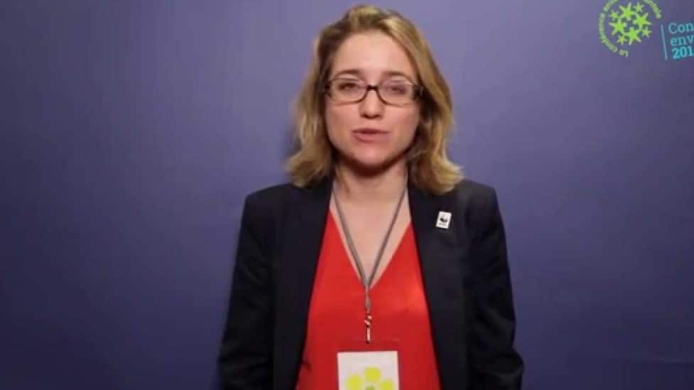 Diane Simiu, Madame environnement de l’Elysée et Matignon