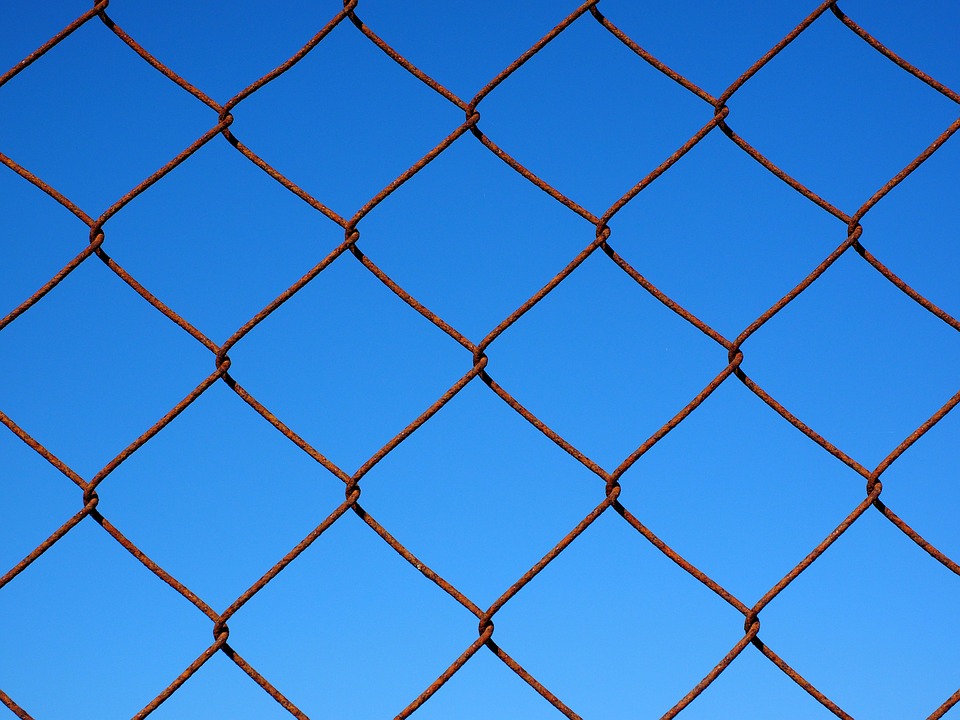 En 2016, 200 défenseurs de l'environnement ont été tués