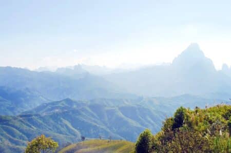 Ces forêts qui érodent