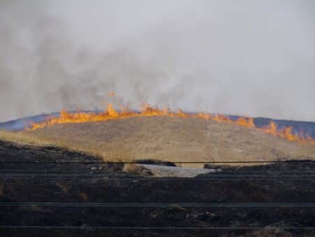 Brûlage de végétaux : la vigilance reste de mise dans les Bouches-du-Rhône