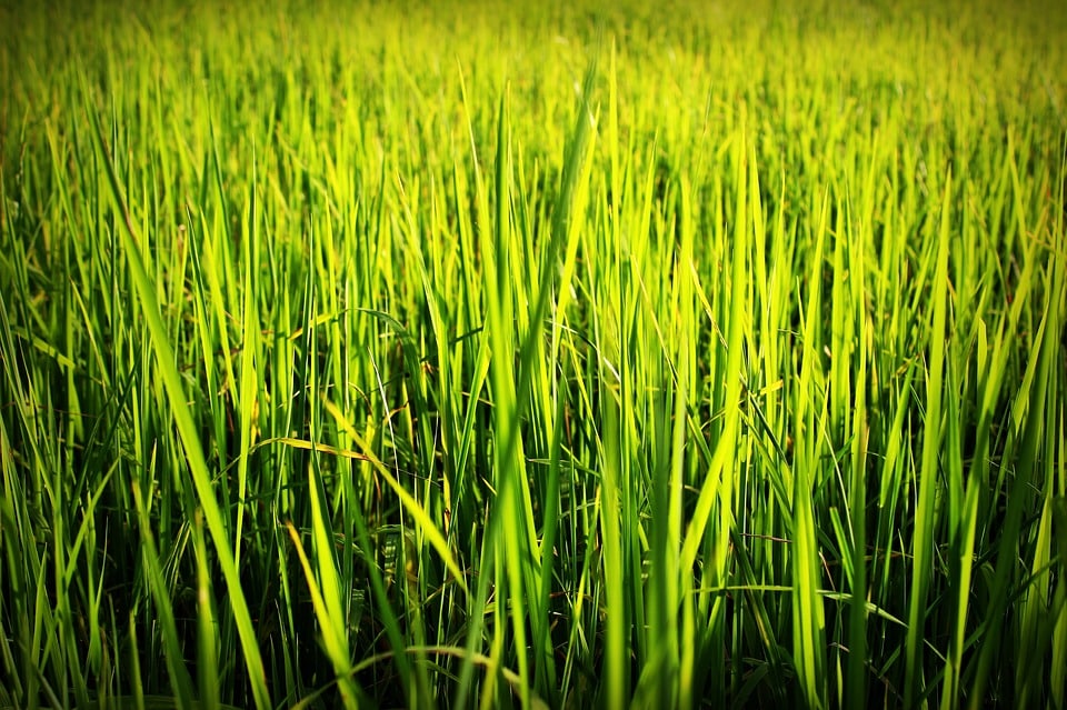 Pour Philippe Vasseur, il faut « intégrer des clauses de RSE dans les marchés publics »