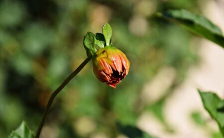 Transition écologique : Les Eco Maires s'engagent pour accompagner les collectivités locales