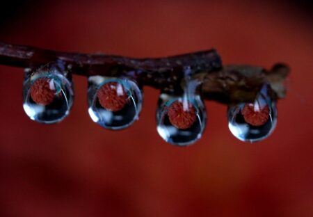 Nappes phréatiques : début 2018 la recharge hivernale s’entame