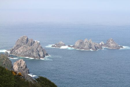 Pêcheurs et scientifiques collaborent pour une pêche durable