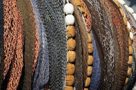 Pêche industrielle à Taiwan : Greenpeace dénonce des cas de travail forcé