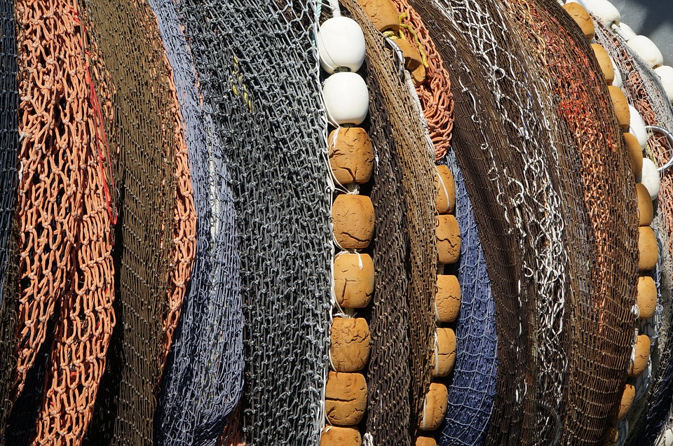 Pêche industrielle à Taiwan : Greenpeace dénonce des cas de travail forcé