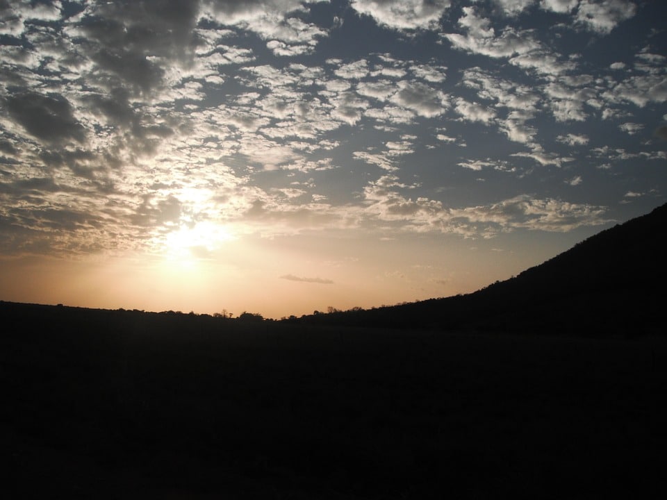 Total en Guyane : Greenpeace encourage les habitants à donner leur avis