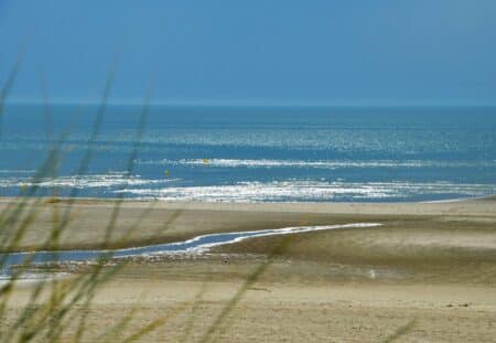 560 km de nage dans la Manche pour alerter sur la dégradation des mers