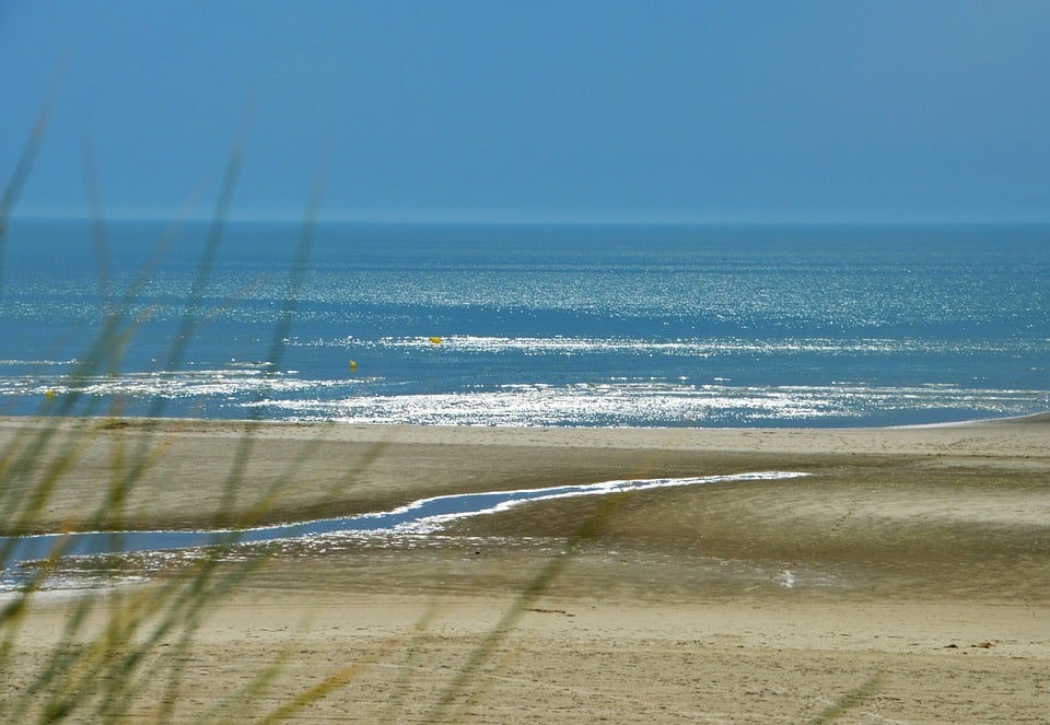 560 km de nage dans la Manche pour alerter sur la dégradation des mers