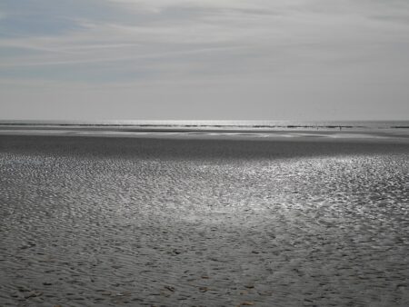 La Baie de Somme enregistre une baisse de 80% du nombre de poissons en 30 ans