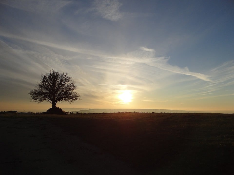 La région Grand Est lance son plan transition énergétique