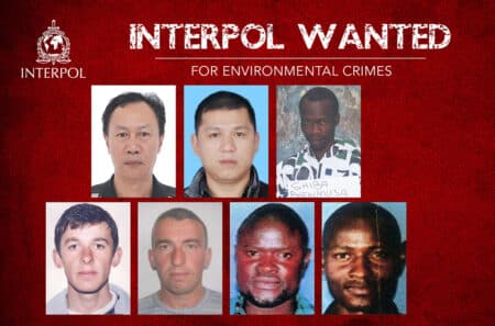 Interpol lance sa première traque de fugitifs pour crimes environnementaux