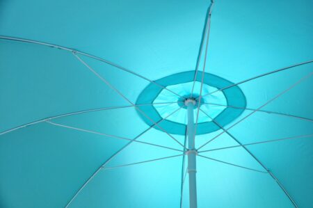 Canicule : l'urgence de s'attaquer aux problèmes de fond