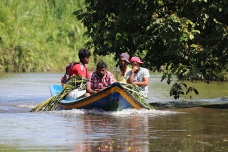 Guyane : une biodiversité marine "vitale" à protéger