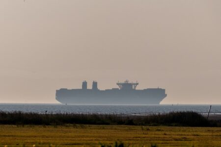 Déforestation : Greenpeace dénonce l'arrivée d'un cargo de soja brésilien