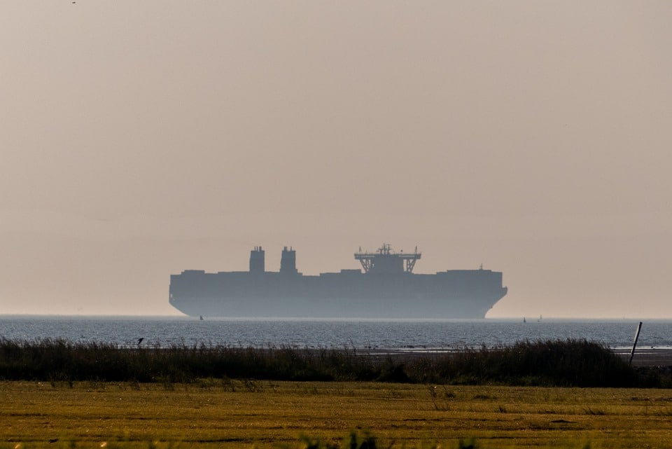 Déforestation : Greenpeace dénonce l'arrivée d'un cargo de soja brésilien