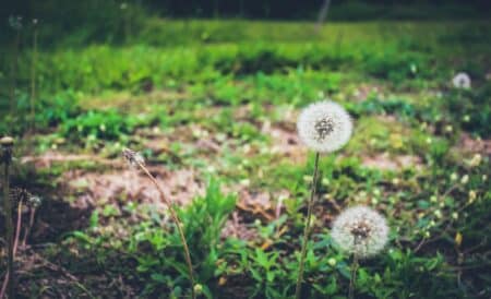 Le développement durable financé par l'ONU et le secteur privé