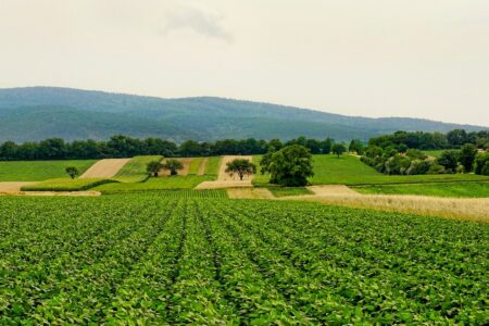 Biodiversité et agriculture : accord entre le CIRAD, l’AFD et Expertise France