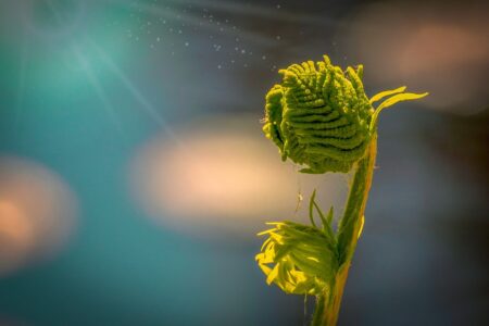 Pour Greenpeace, jeudi 5 mars n'est pas un jour comme les autres, c'est "le jour du dérèglement"