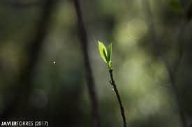 Bienvenue dans l’ère de la METACRISE.