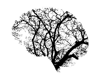 Climat, biodiversité…. C’est pas moi, c’est mon striatum !