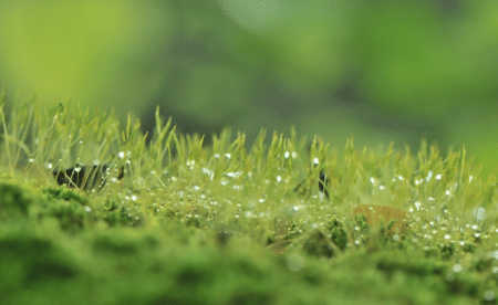 Les engagements écologiques et sociaux vont de pair