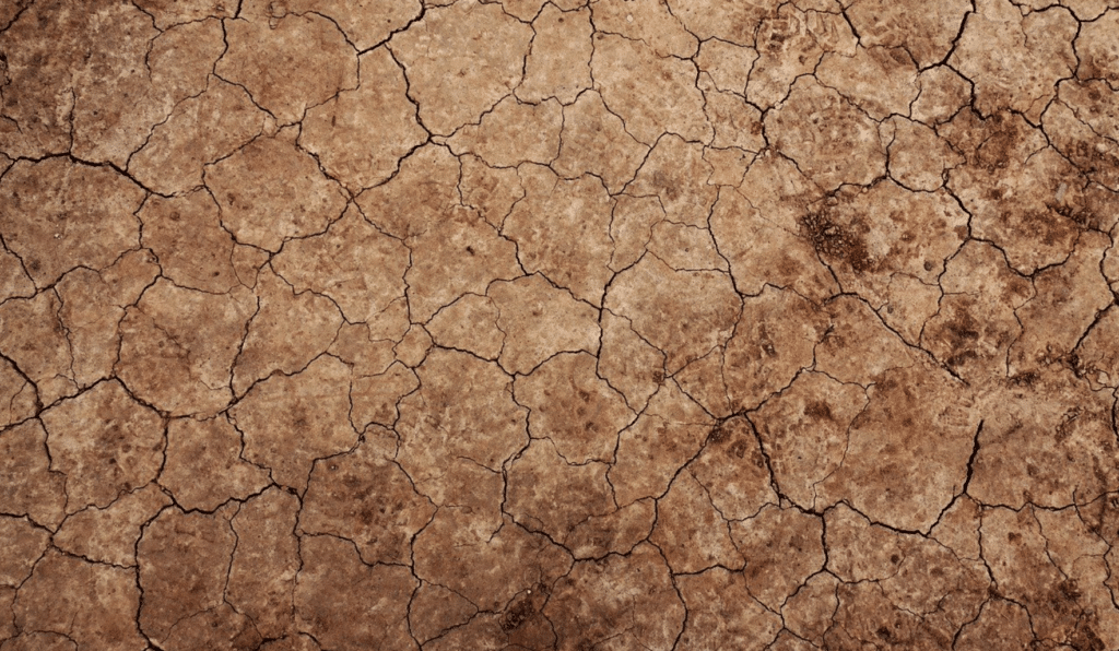 L’ONU s’enthousiasme du retour des États-Unis dans l’Accord de Paris