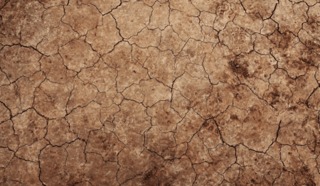 L’ONU s’enthousiasme du retour des États-Unis dans l’Accord de Paris