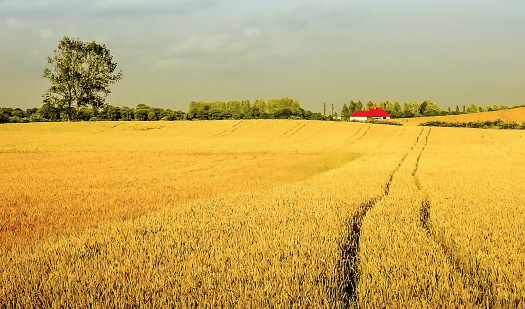 Réchauffement climatique : les agriculteurs en première ligne