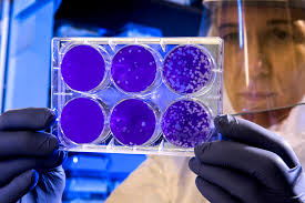 Entre progrès et fragilité le paradoxe de notre humanité