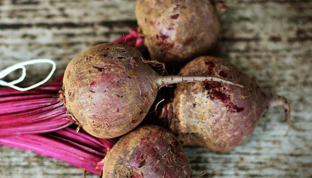 Le Conseil d’État rejette le recours des ONG contre les néonicotinoïdes pour les betteraves