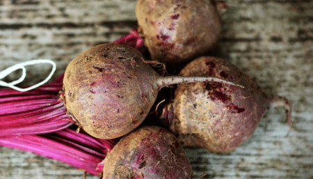 Le Conseil d’État rejette le recours des ONG contre les néonicotinoïdes pour les betteraves