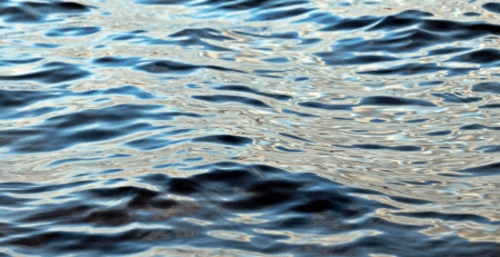 Sea Shepherd pris dans son propre piège militant