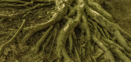 La Cour suprême du Brésil relance la bataille judiciaire des Autochtones