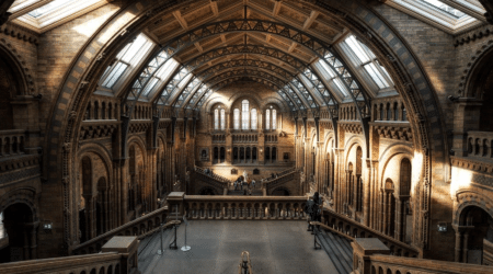 L’Unesco lance un appel mondial pour soutenir les musées