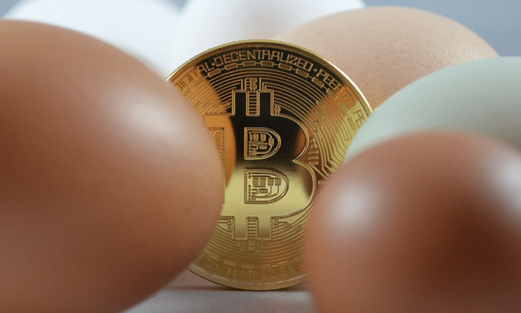 Les banques centrales se mettent aux monnaies virtuelles