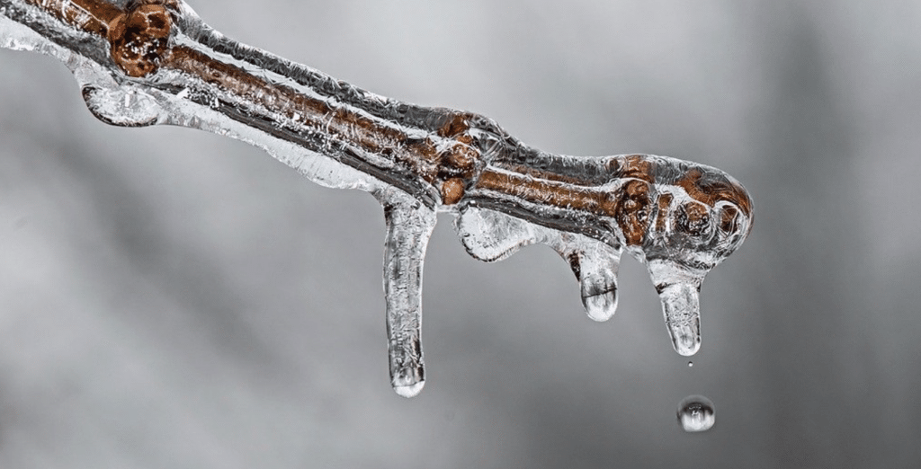 Climat : la Cour constitutionnelle allemande demande au gouvernement d’être plus exigeant
