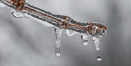 Climat : la Cour constitutionnelle allemande demande au gouvernement d’être plus exigeant