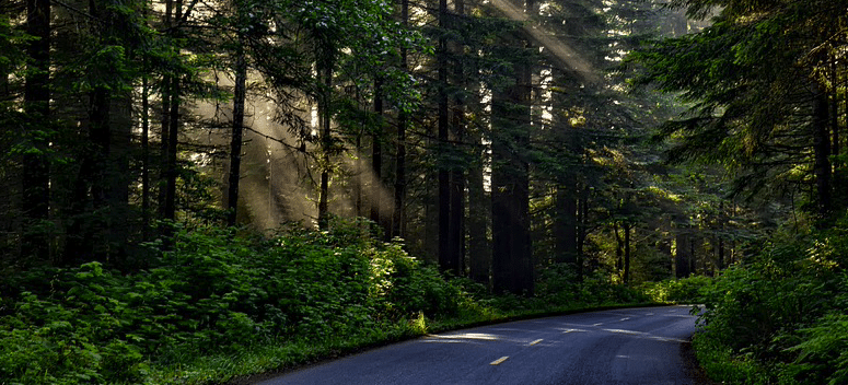 « Le Huffington Post » rejoue la carte de la ruralité anti écologique