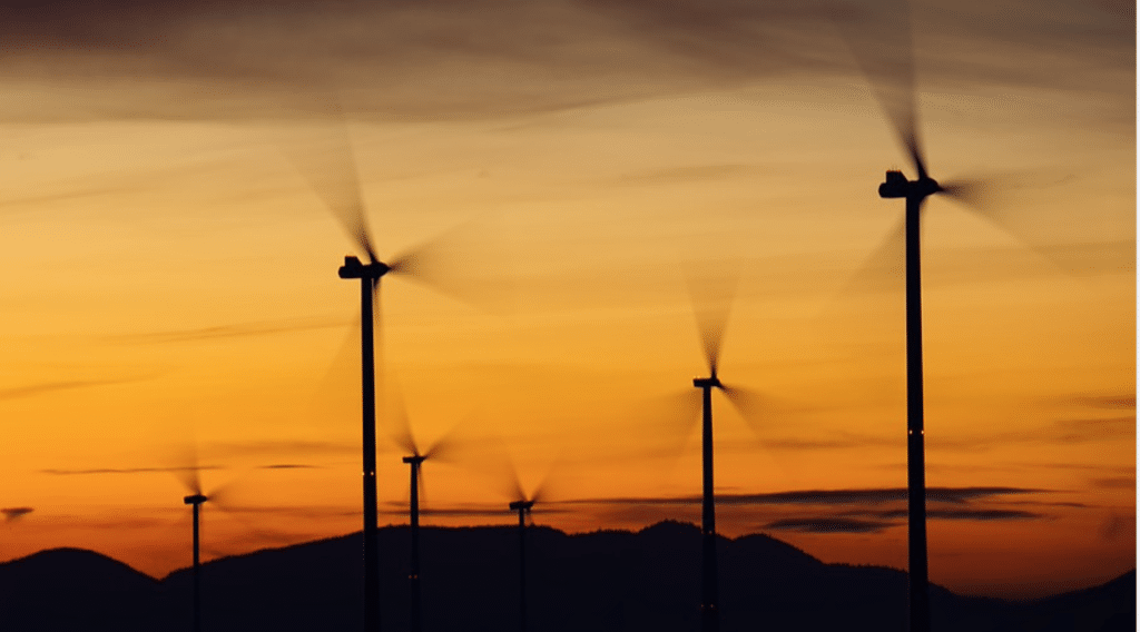 L’impact environnemental et les vertus écologiques de l’éolien en question