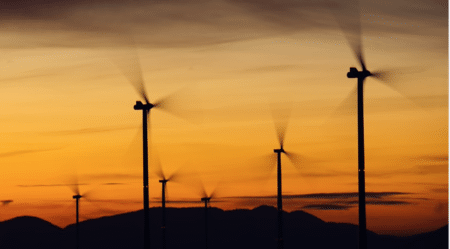 L’impact environnemental et les vertus écologiques de l’éolien en question