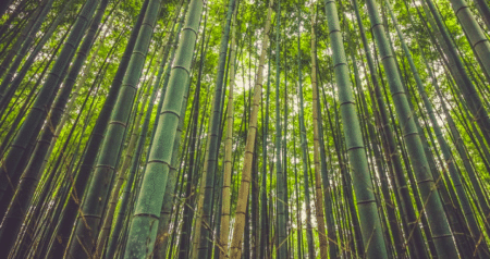 Investir dans l’environnement et le faire savoir : la recette pour être de toute façon gagnant