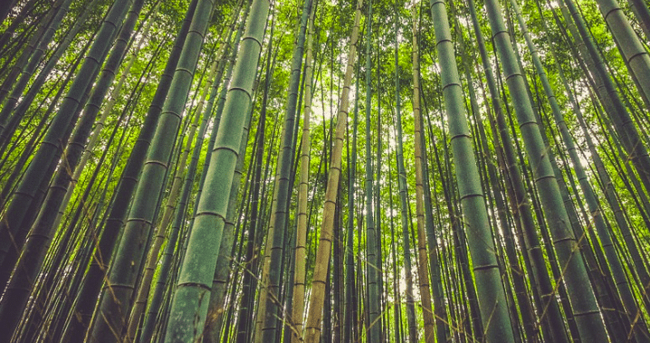 Investir dans l’environnement et le faire savoir : la recette pour être de toute façon gagnant