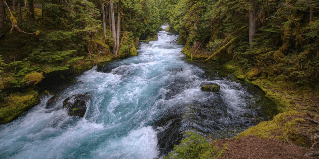 Écologie : les barrages hydroélectriques en question
