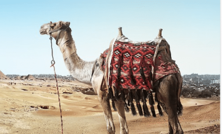 Vague de chaud en Espagne : la France pas encore concernée