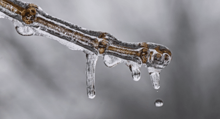 Ces deux dernières années les dépenses des entreprises pour le climat ont doublé