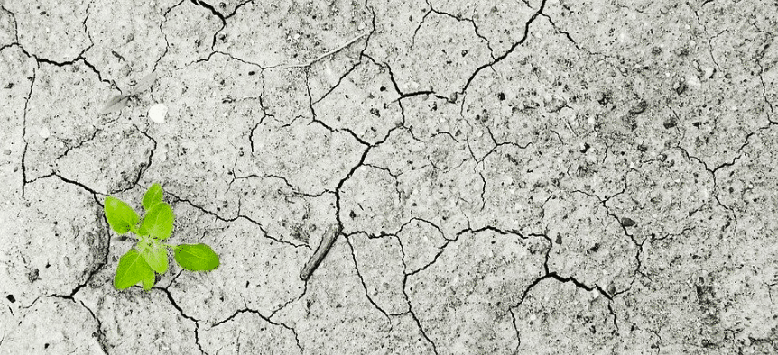 Le projet loi climat va être adopté, sans convaincre les associations environnementales